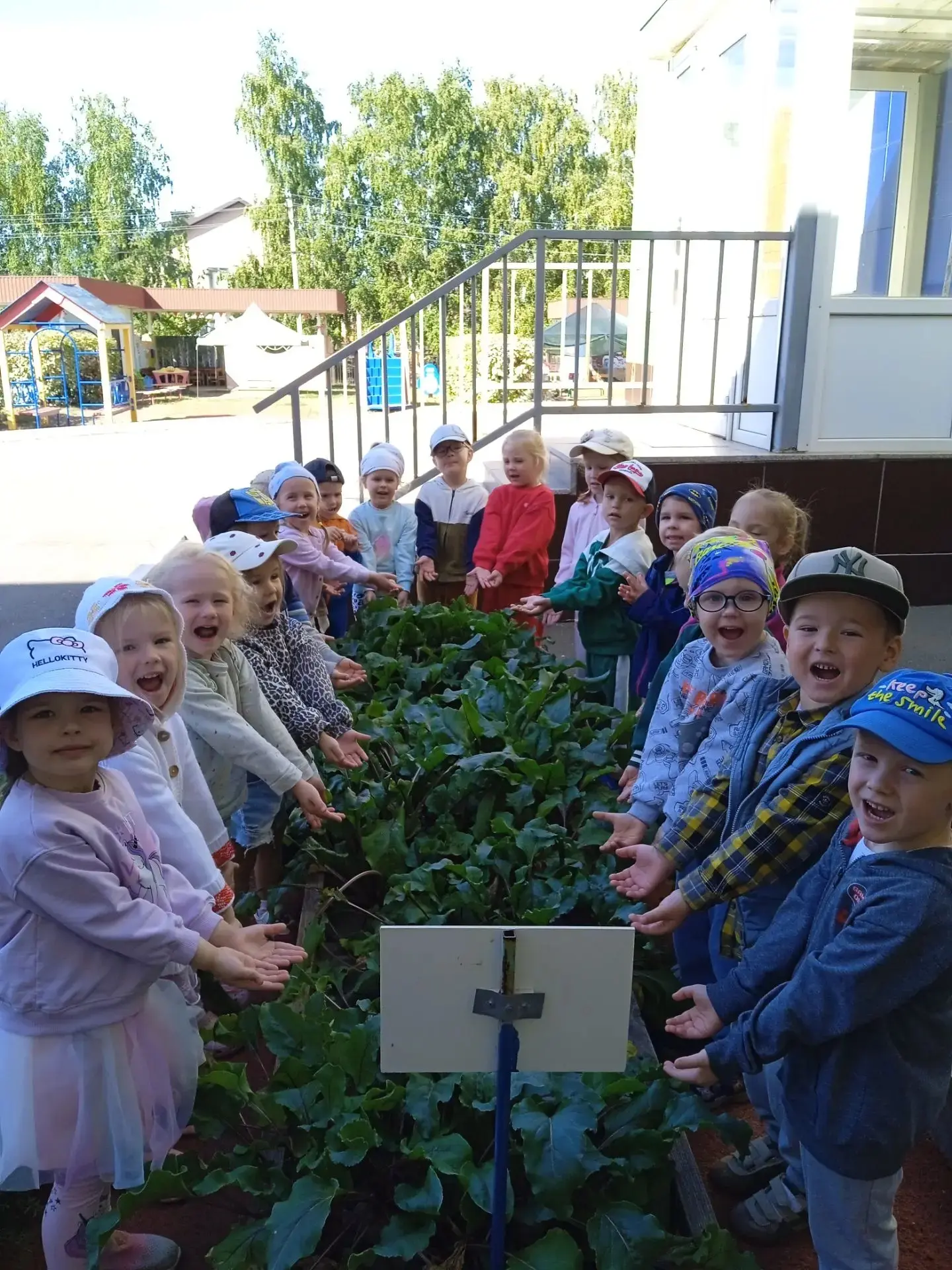 Свёклу знают все ребята,
