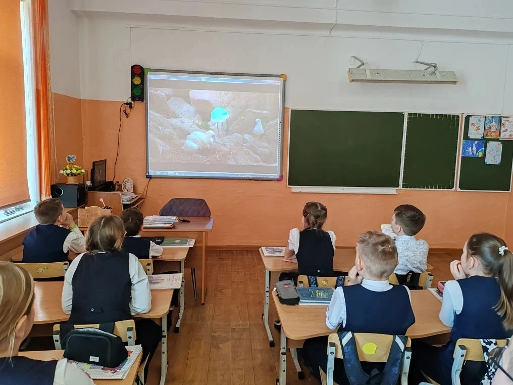 ГИМНАЗИСТЫ УЧАСТВУЮТ В ЭКОЛОГИЧЕСКОМ ПРОЕКТЕ🌎🌿   🍃 Гимназисты  2 "А"  и 4 "А" классов продолжают  пр