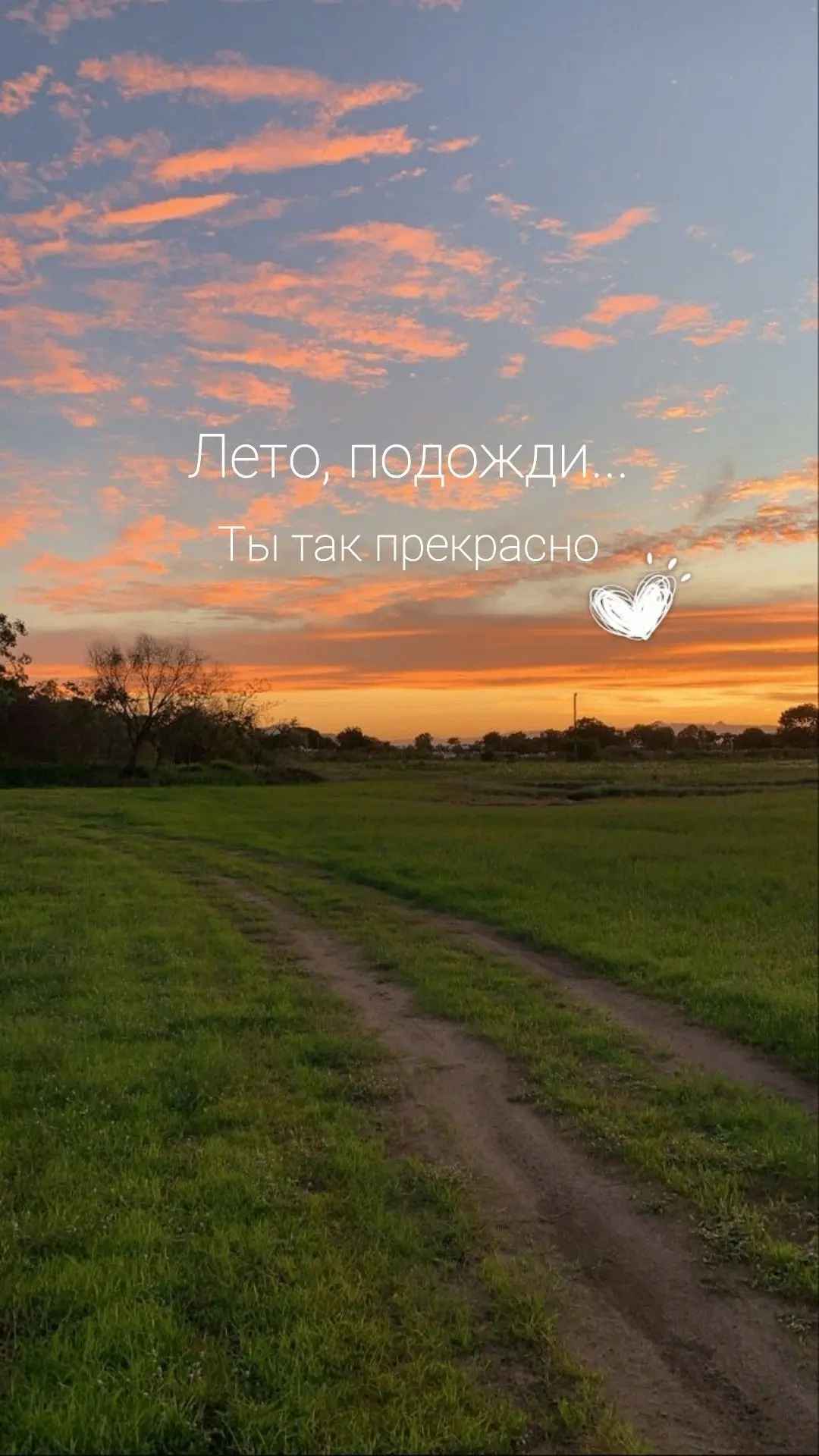 Август начался, а значит, пора честно признаться… 😄Что сейчас происходит в вашей жизни?