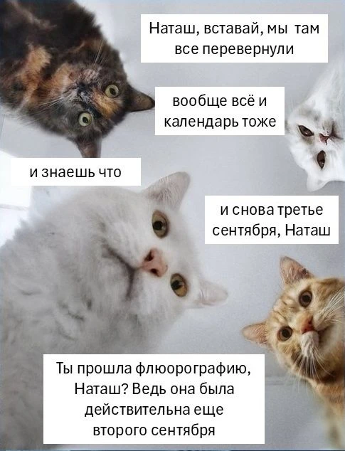 А вы давно проходили флюорографию?