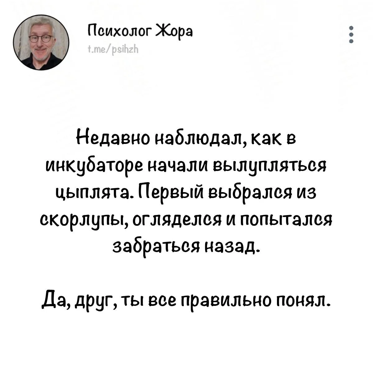 #юмор_жоры