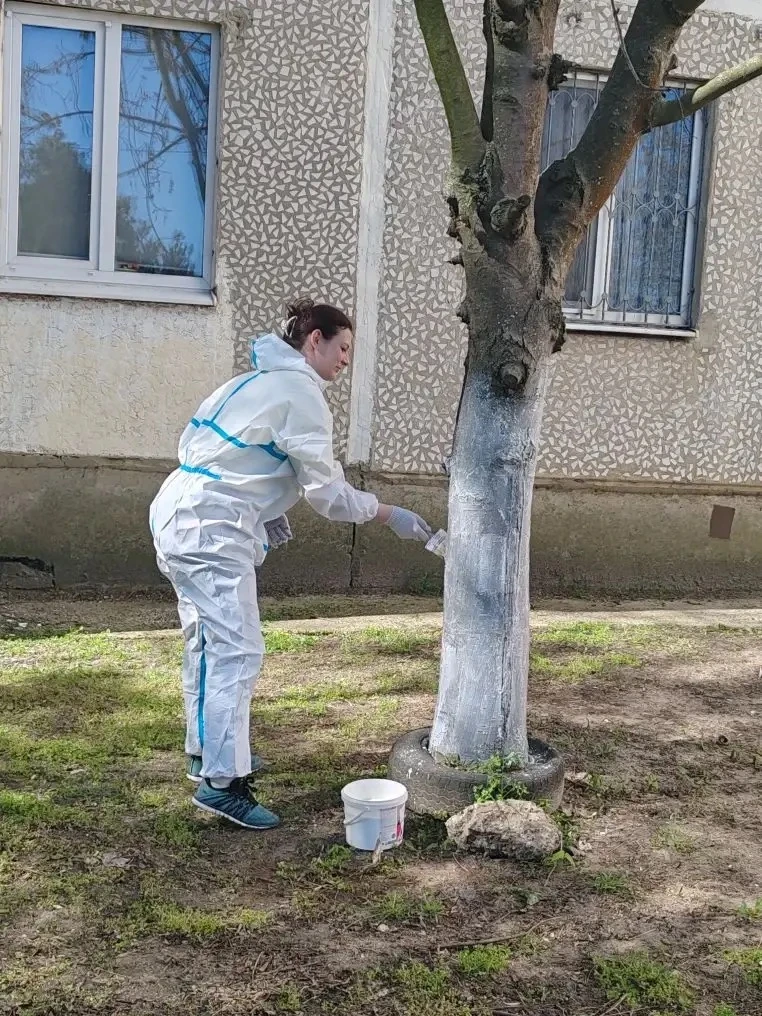 🌳 Учителя МБОУ СОШ №3 – на страже чистоты и красоты!   Наши замечательные учителя приняли активное у