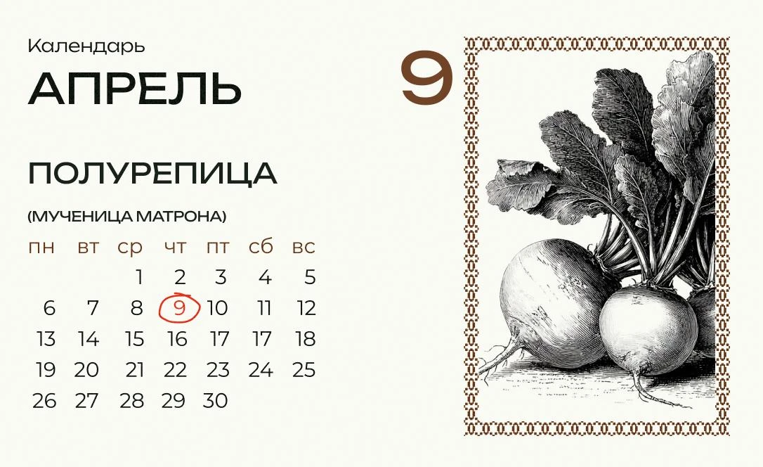 Сегодня Матрена-полурепница!  В этот день отбирали семена для посева одного из самых древних продукт