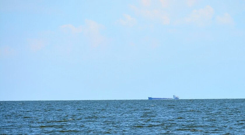 ⛵ 🌊 Ученые проверили, как чувствует себя рыба в Азовском море