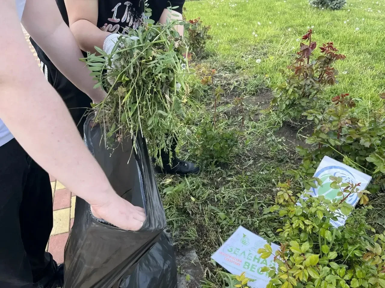 🌸 Студенты Кореновского политехнического техникума подарили парку второе дыхание в рамках «Зеленой В