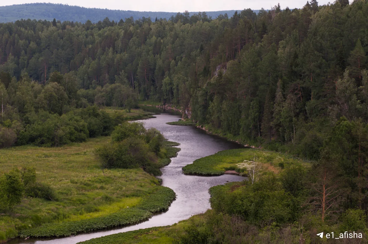 🌳 До парка «Оленьи ручьи» запустят рейсы 22 мая. Уехать можно будет по пятницам, субботам и воскресе