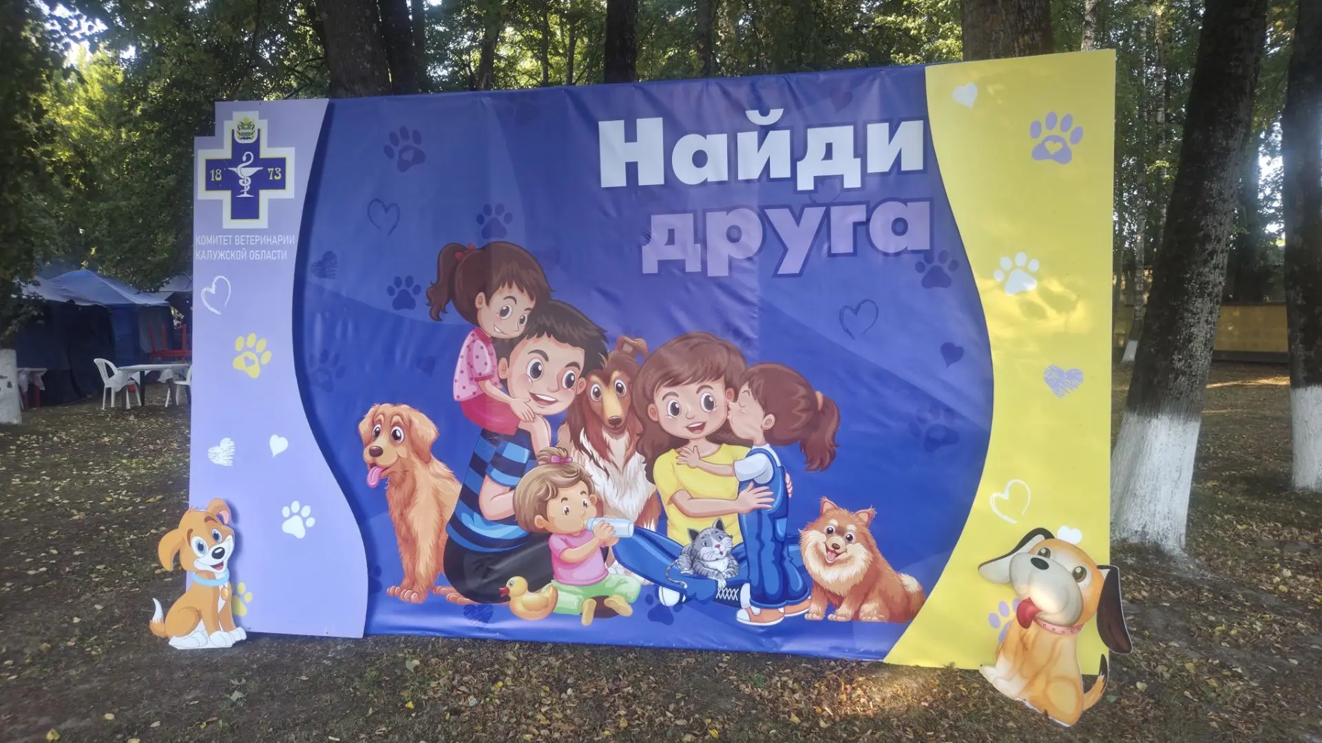Выставка - пристройство бездомных собак из приюта "Кирюшка"