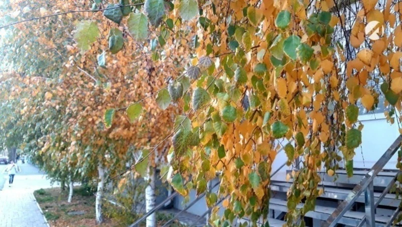 🌤️ 6 октября в Астраханской области до +23 °С