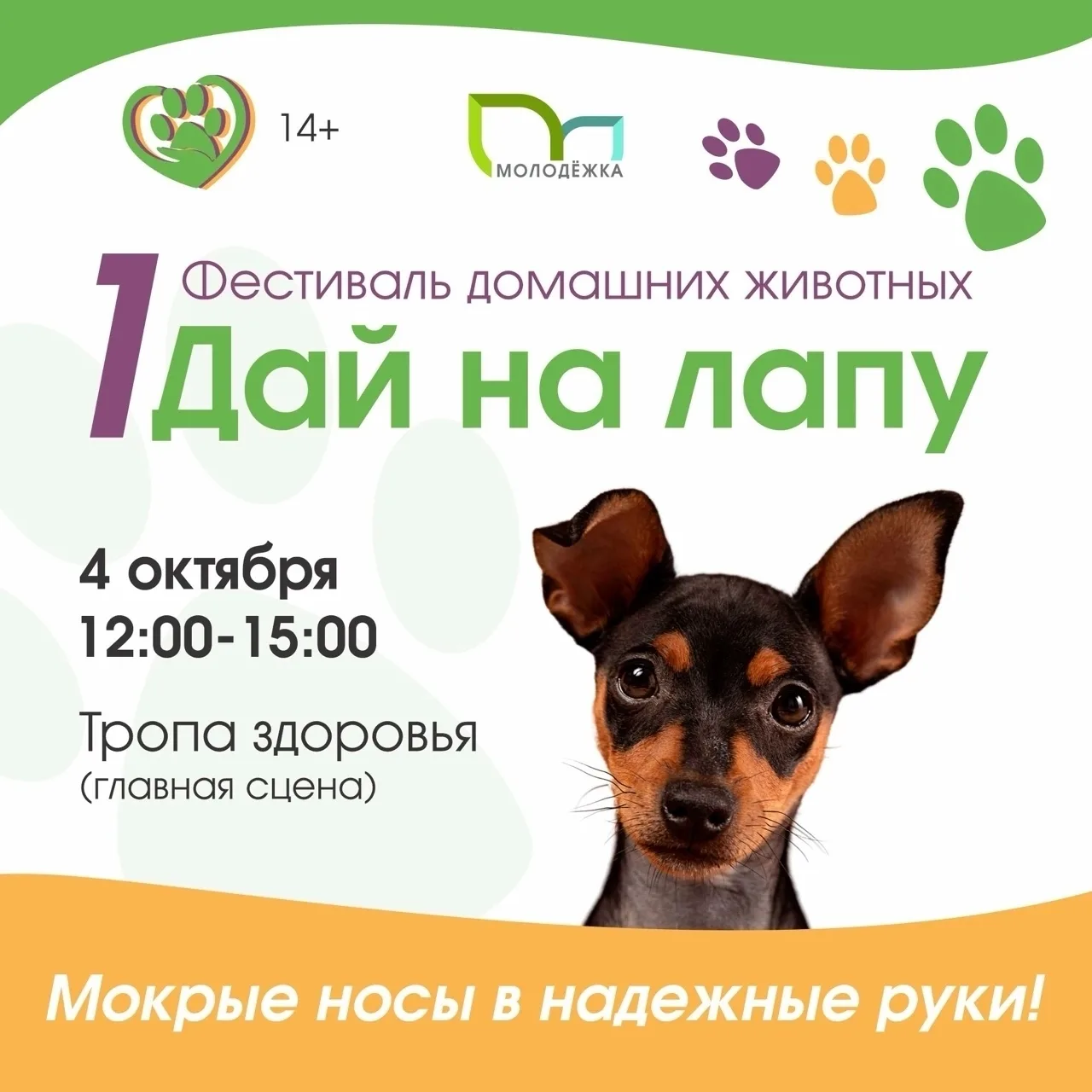 Сегодня одеваемся потеплее, берем ноги в руки и идем к 12:00 на Тропу здоровья получать...