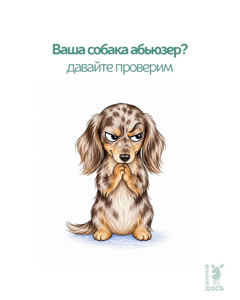 Ваша собака абьюзер? Добро пожаловать в клуб 🐾