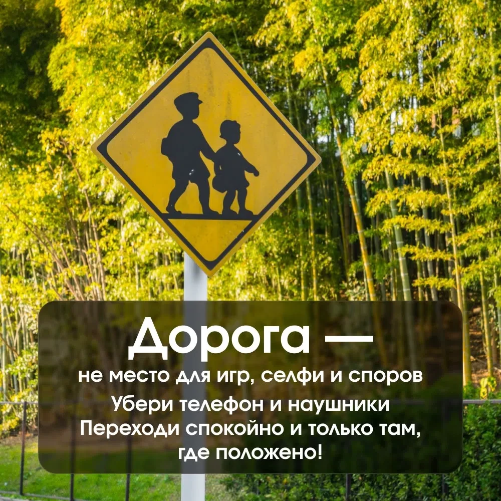 Дорога — не место для игр и селфи
