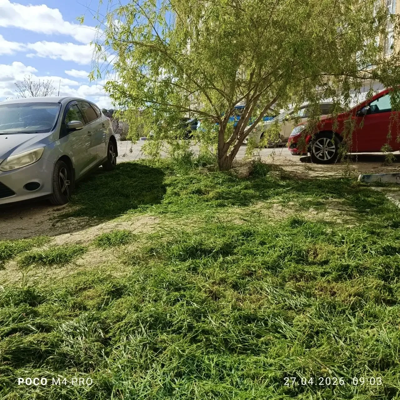 🌳🌱Каждый день вкладываем силы и заботу, чтобы наши дворы стали еще прекраснее!