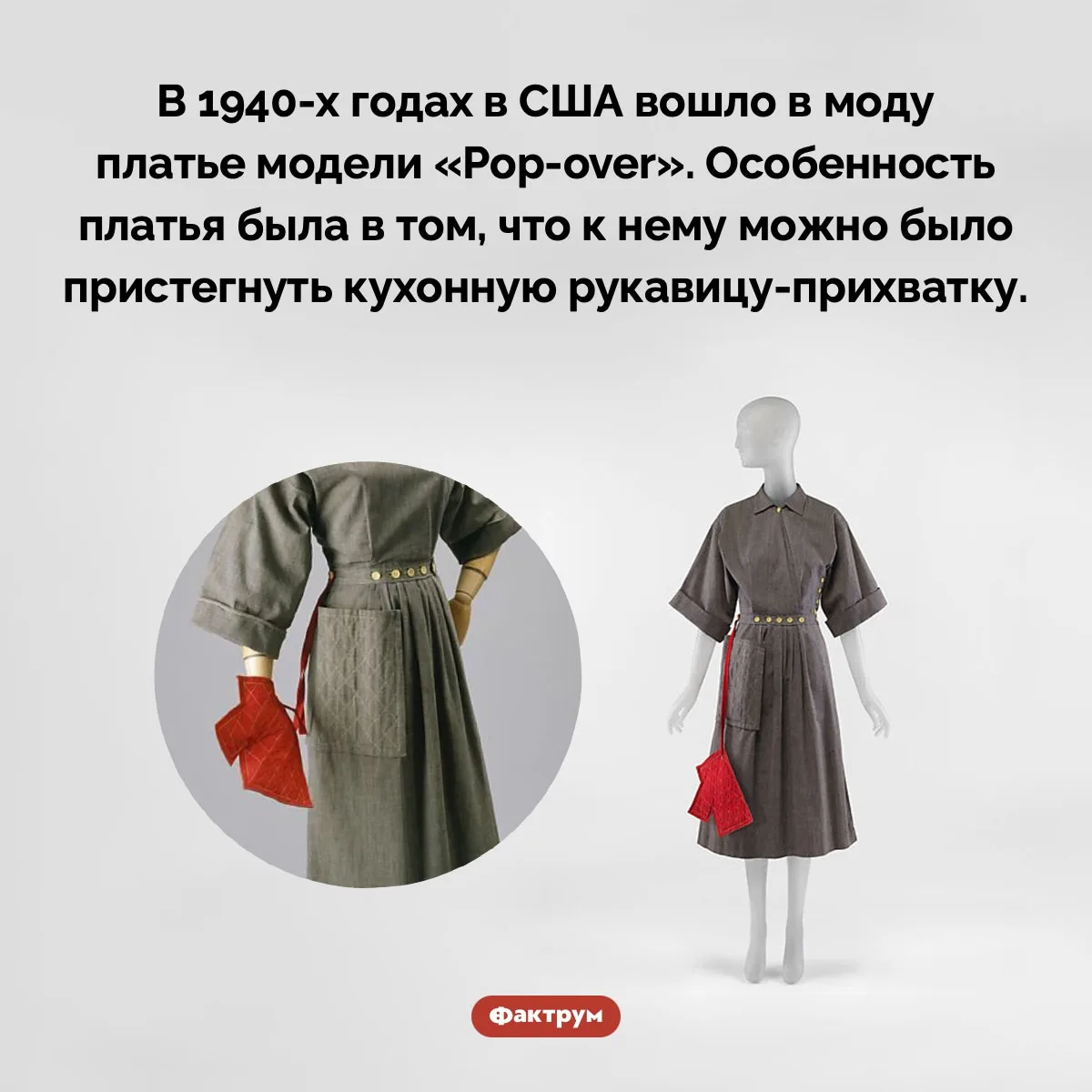 Рубрика "Факты дня в картинках"