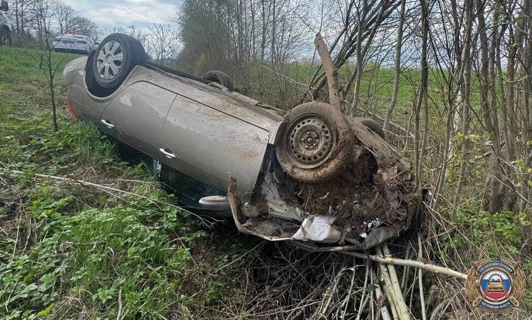 Шальная пьяная автоледи под Костромой едва не убила своего пассажира Поездке закончилась в кювете. Д