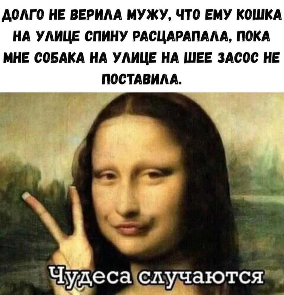 👉 Ёжка - Подписаться