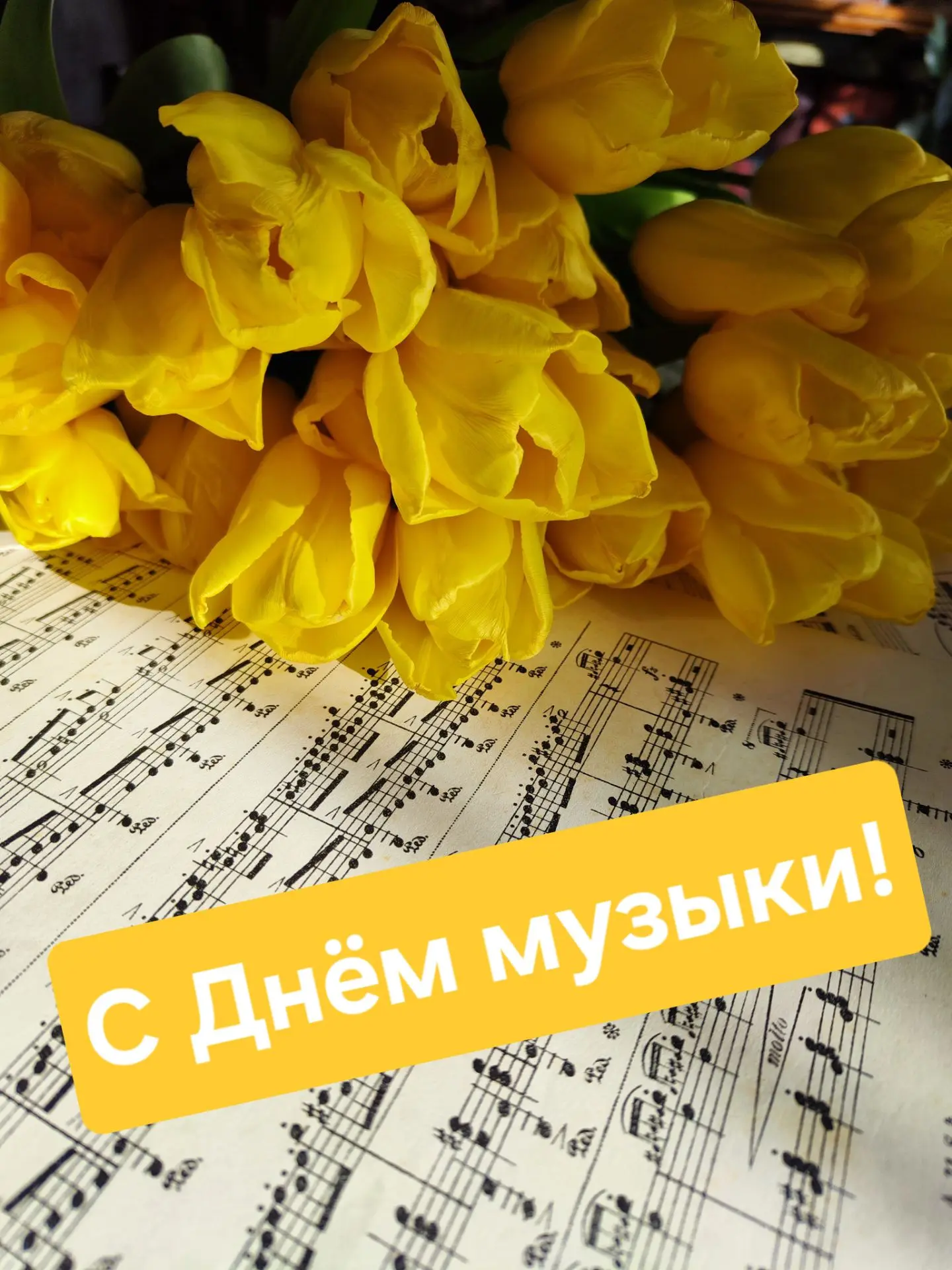 🎼🎉Друзья — всех, кто любит музыку, всех, кто служит музыке, всех, потому что нет в ми...