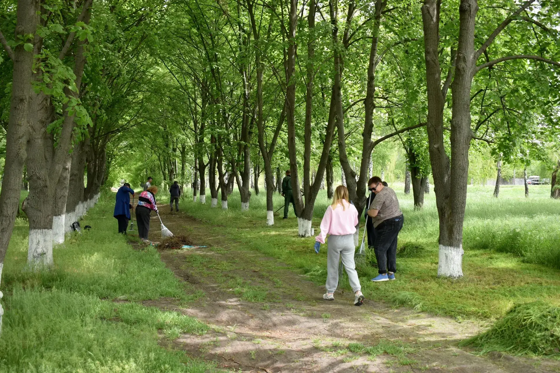🌿 На территории парка имени Комсомольцев прошёл масштабный субботник.  В нём приняли участие сотрудн