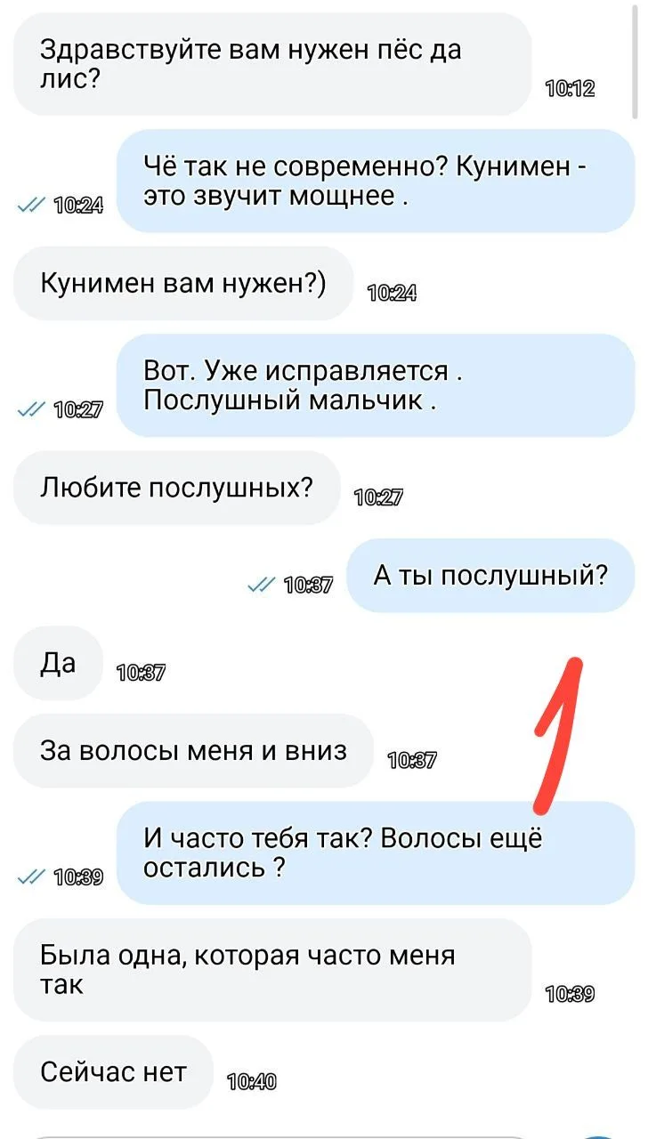 Пёс да лис 😂