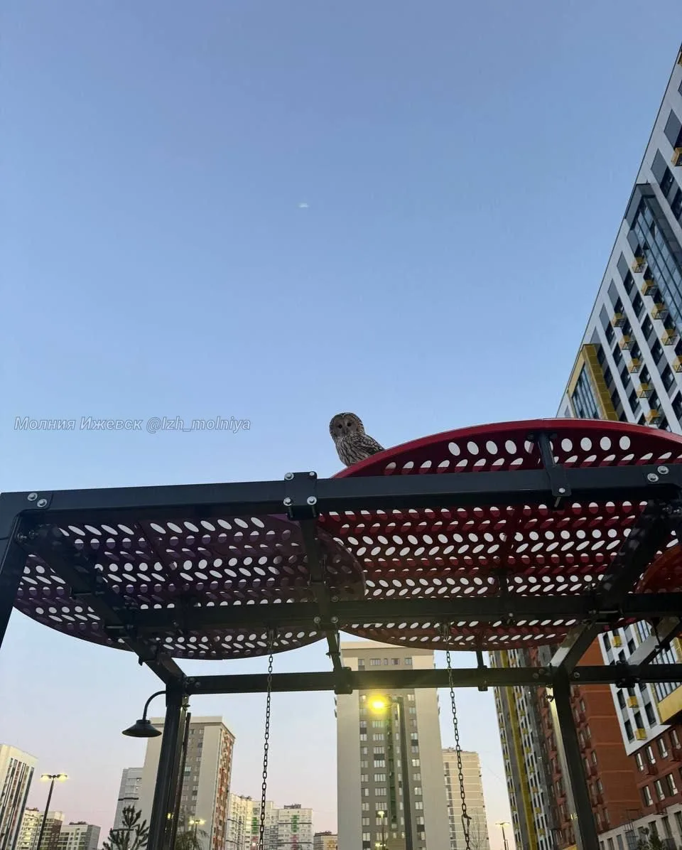 🤨 Очень странные развлечения в Ижевске