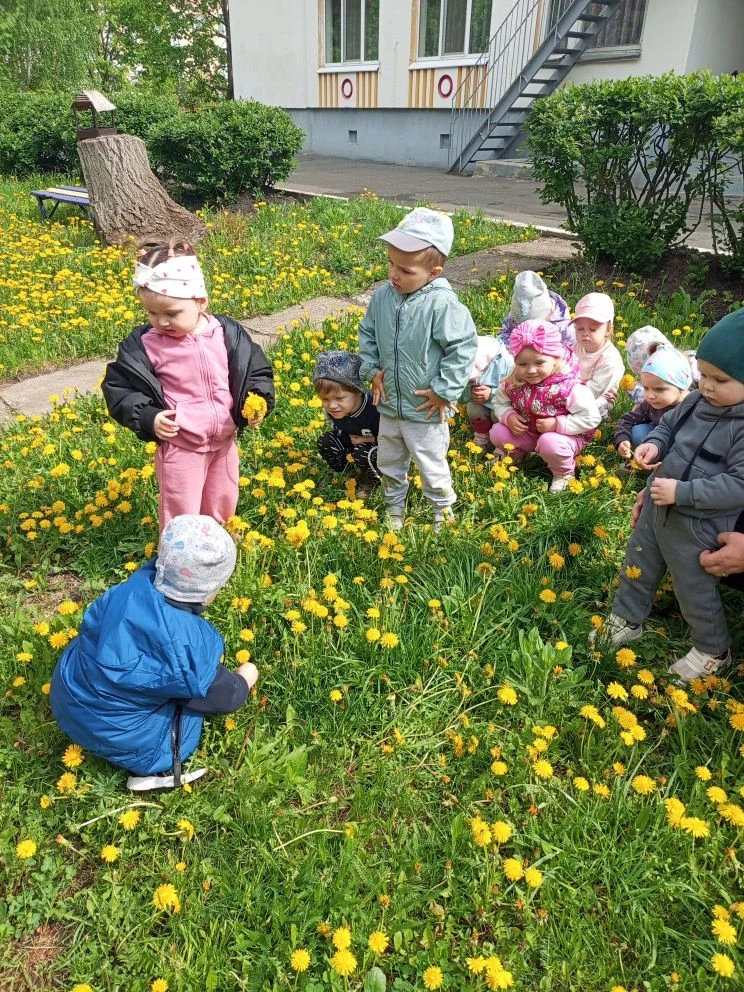☀️ Маленькое солнышко на ножке: в нашем саду прошел День одуванчика! 🌼