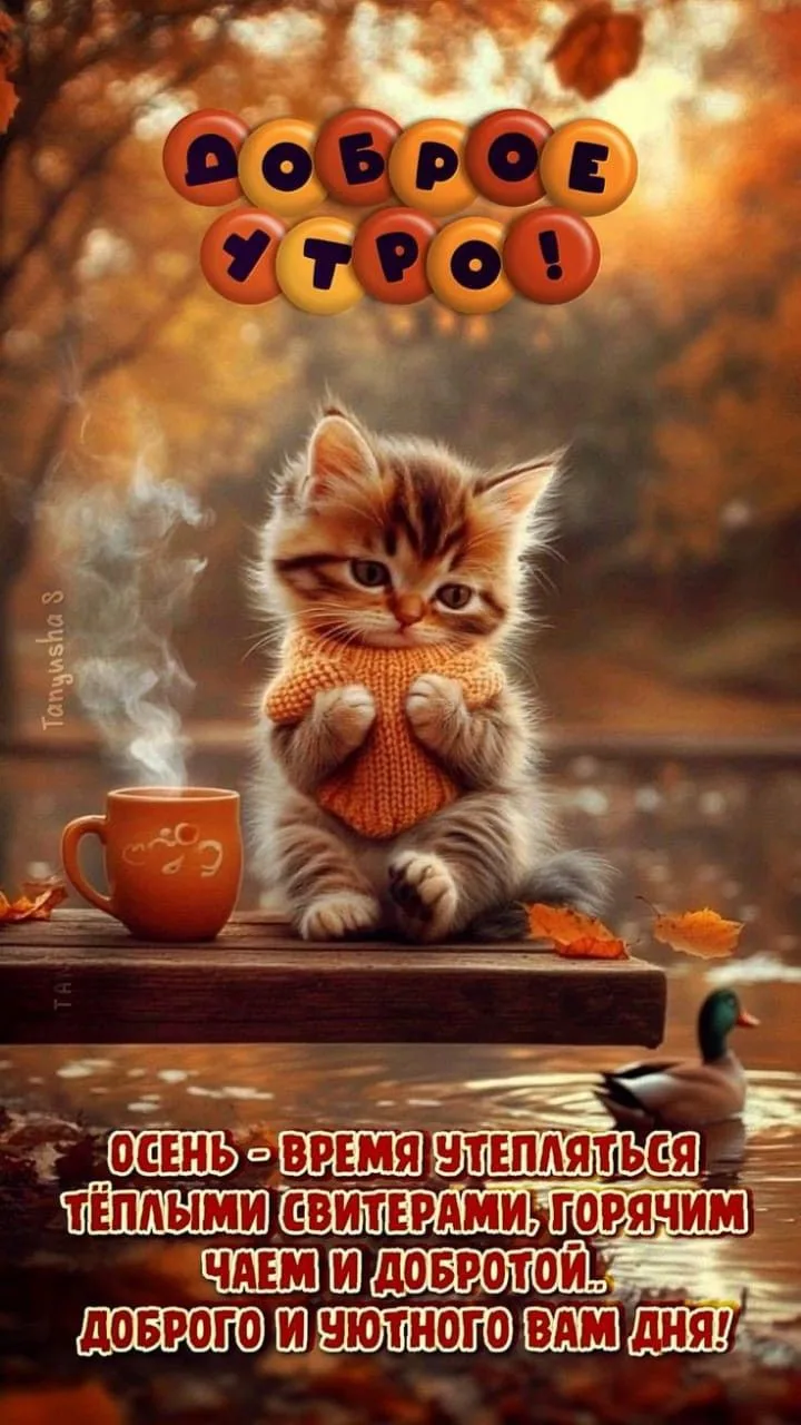 Доброе утро! 🍁