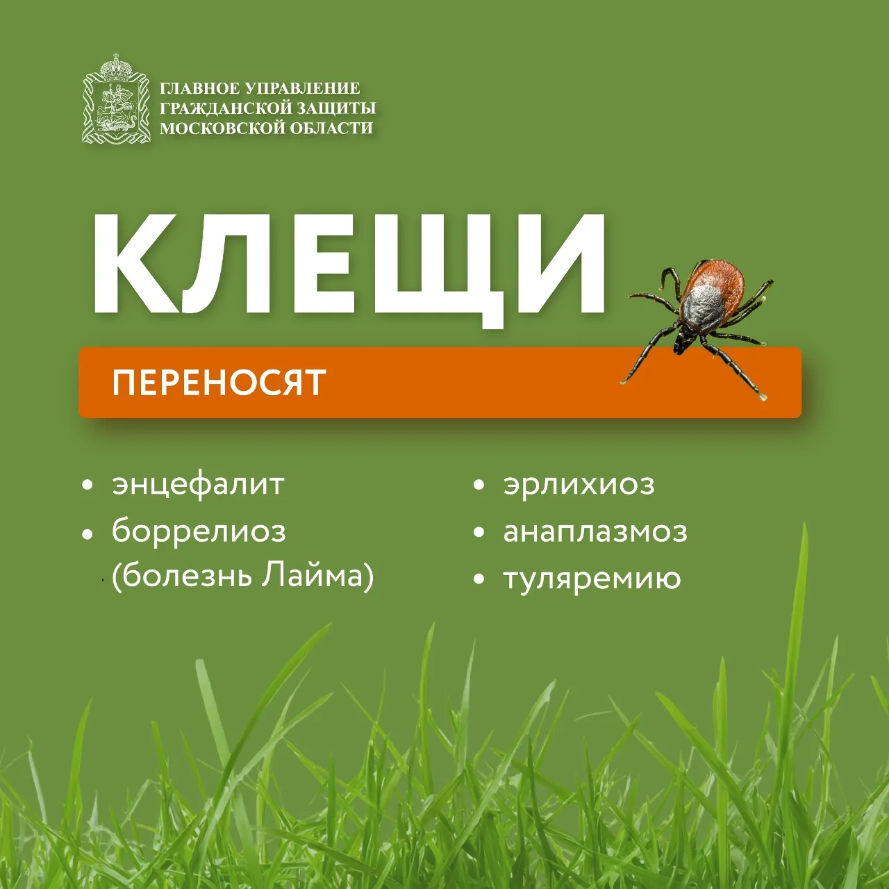 🌱 Май и июнь — пик активности клещей!  🦠 Клещи могут переносить опасные заболевания, такие как энцеф