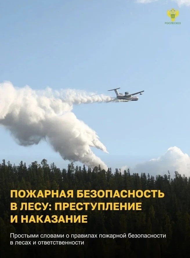 Федеральная информационная противопожарная кампания "Останови огонь"🔥
В целях профилактики нарушен