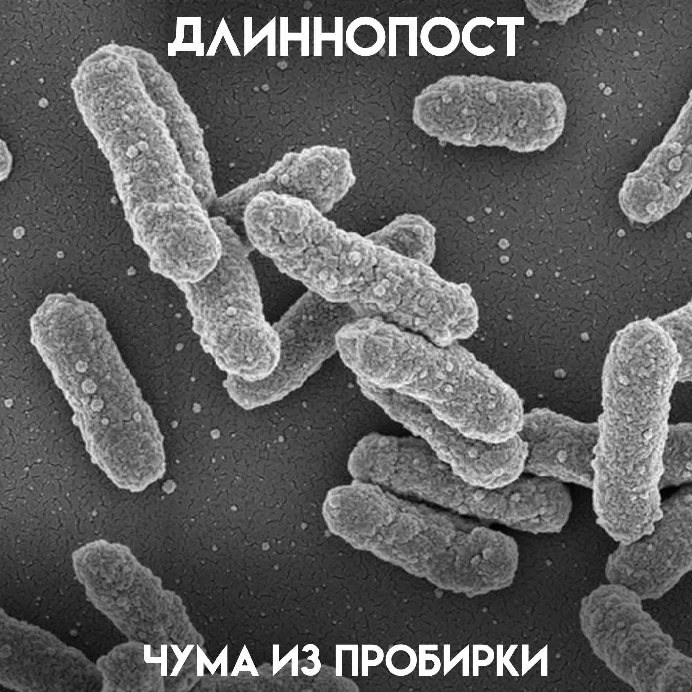 28-летняя сотрудница Иркутского противочумного института разбила пробирку с возбудителе...