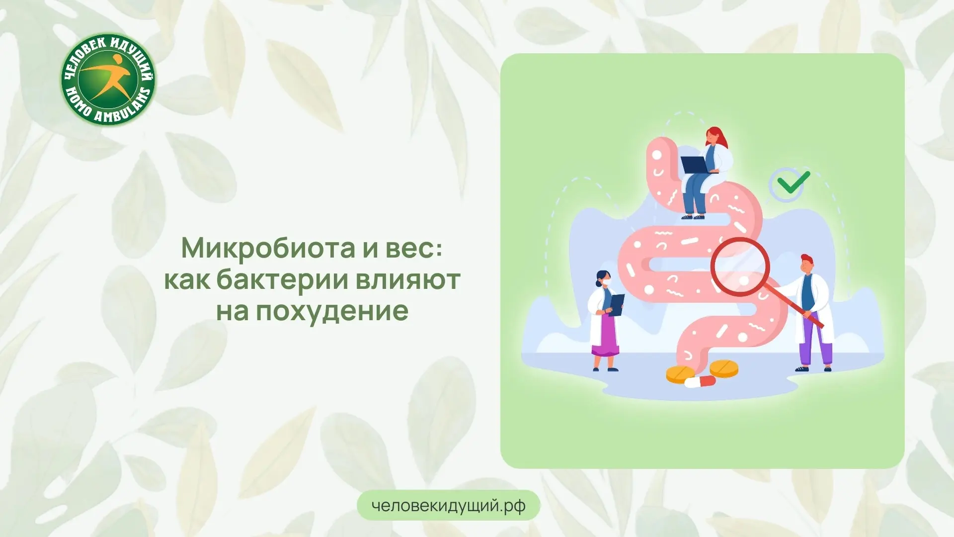 Два человека могут есть одинаковую пищу, но один набирает вес, а другой остаётся стройным. Всё дело 