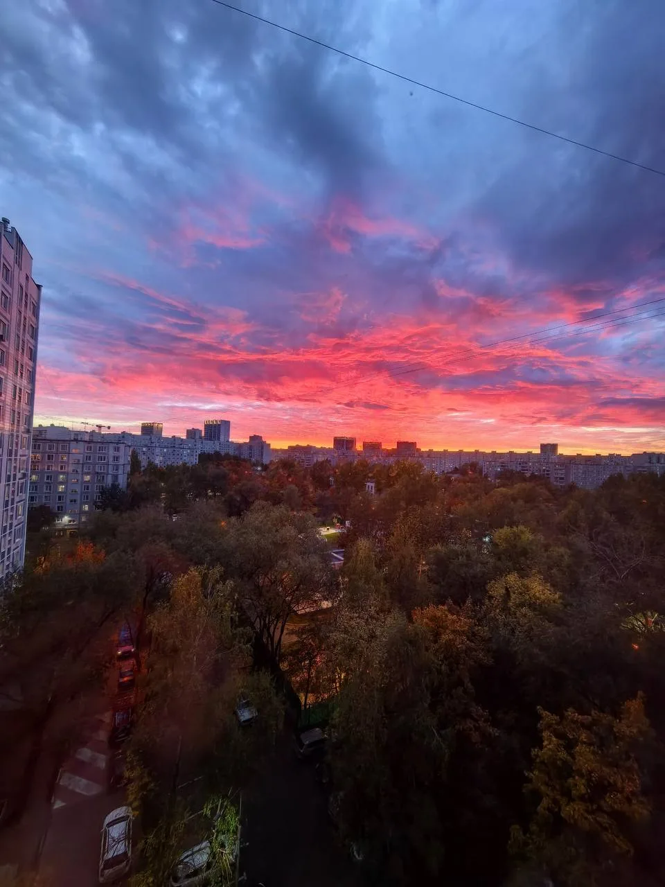Природа — лучший художник. Второй день нам красоту показывает 🐱
