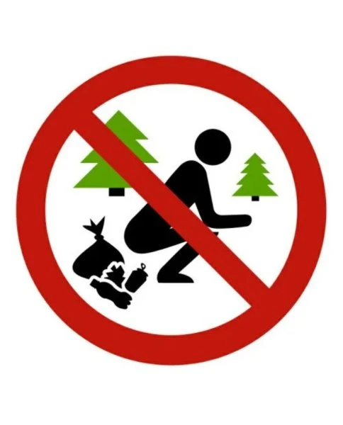 Берегите лес: он не свалка! 🚫🌲