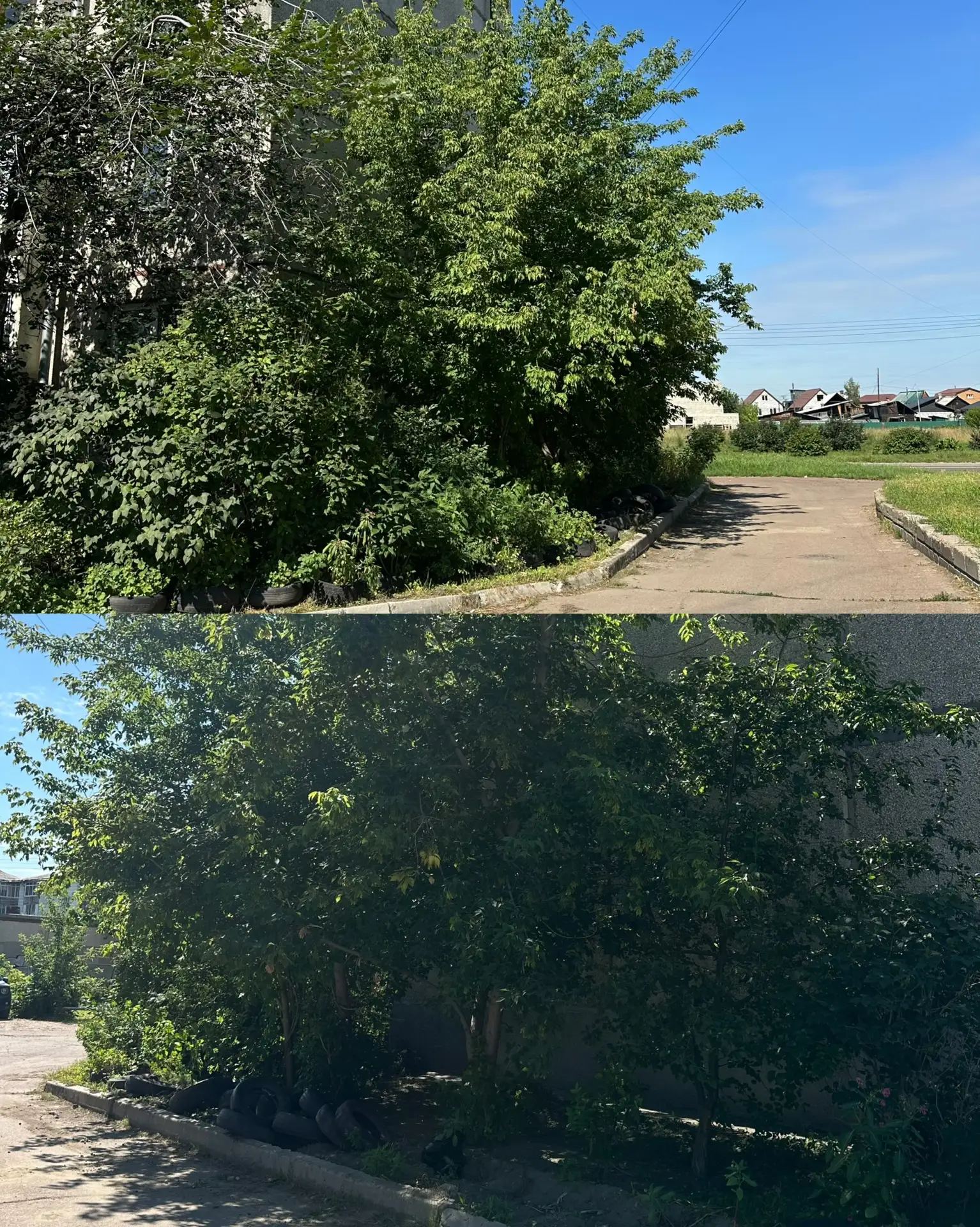 Провели работы по благоустройству🏠