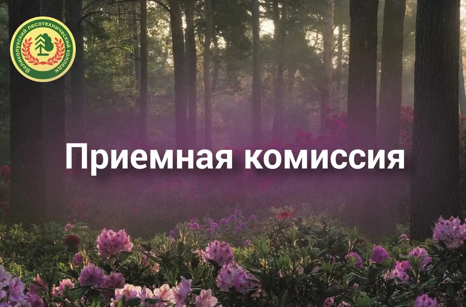 Приёмная комиссия ГБПОУ ПО ВЛТК в полном разгаре!
Сегодня - абитуриент, завтра - профессионал лесной