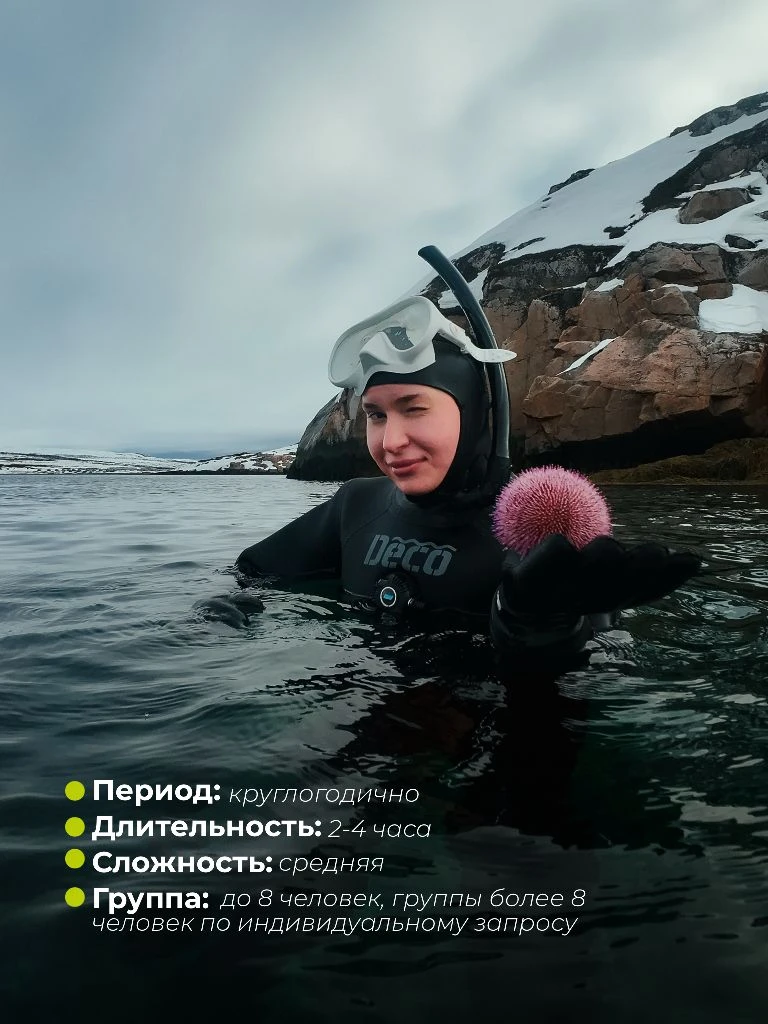 Подводный мир Арктики ближе, чем кажется!