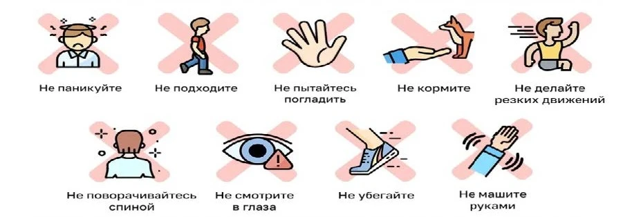 ВНИМАНИЕ!!!
