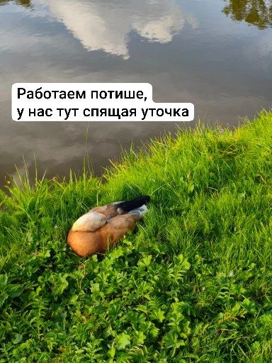 Доброго утра ✨