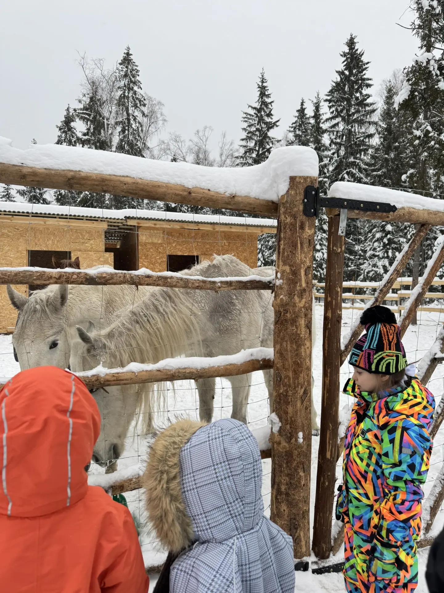 Наши райские выходные в волшебном Серпухове😍🌲🌨️