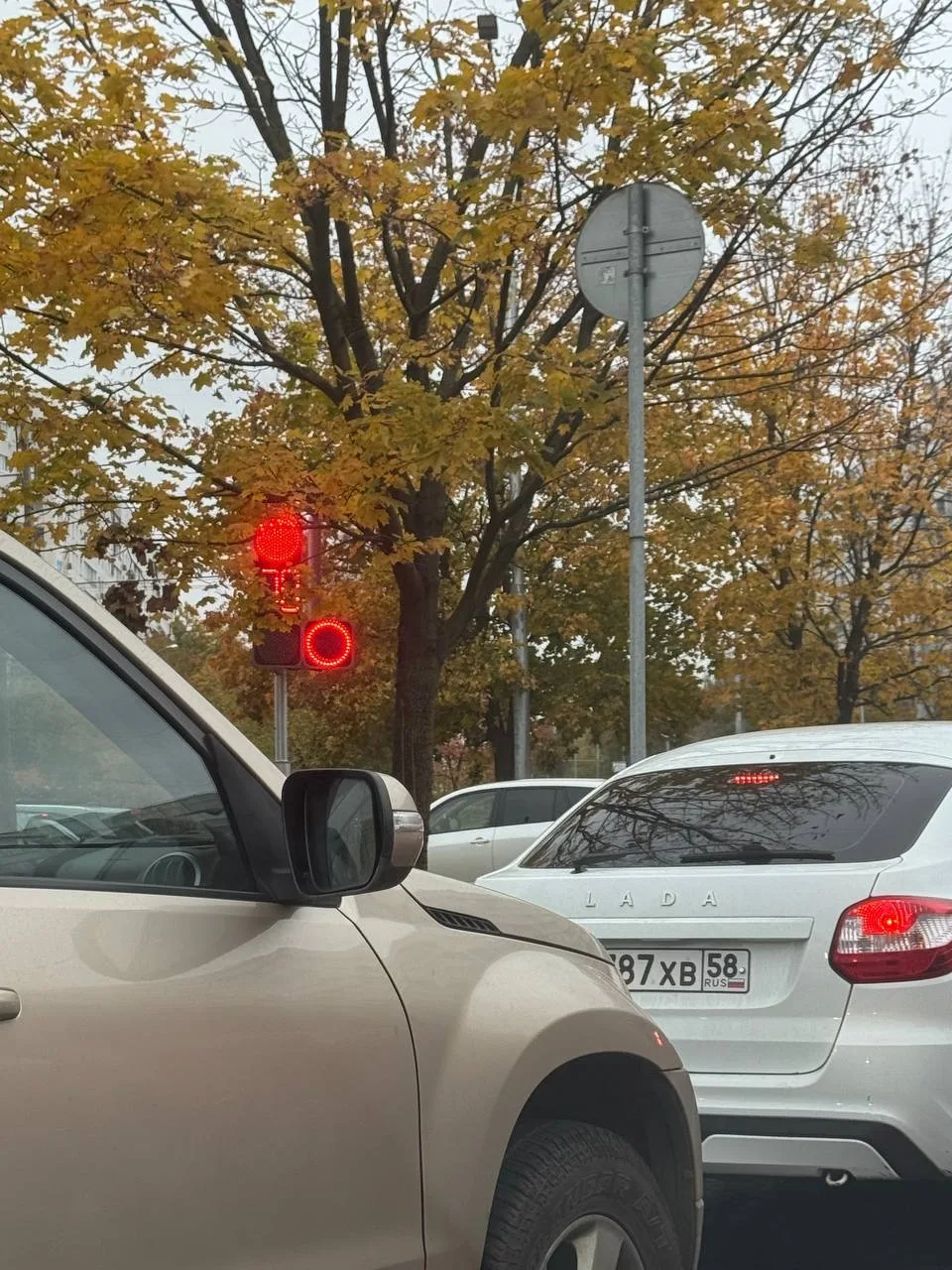 А как вам светофор в кустах? 😅