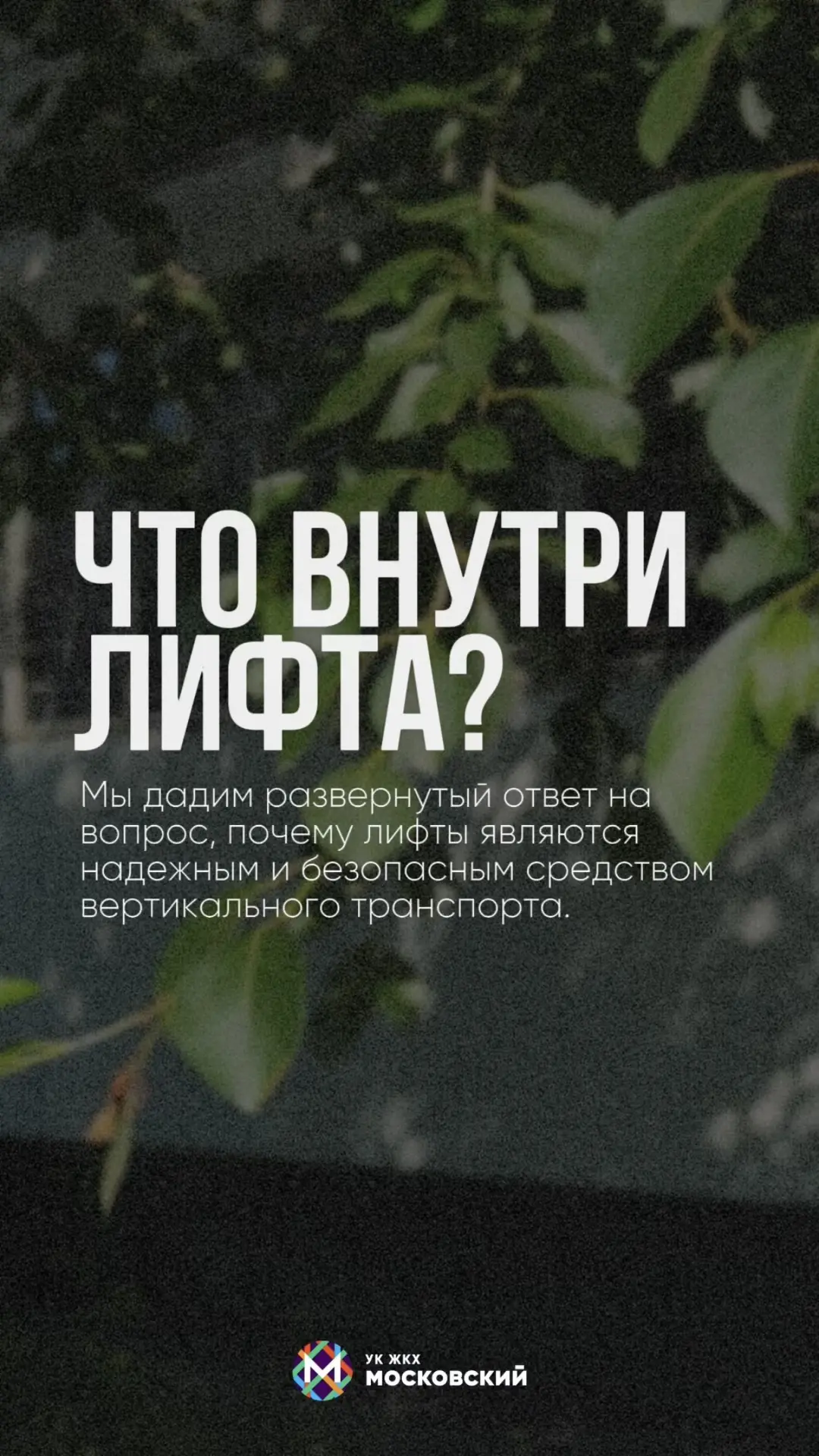 📹 РЕДКИЙ РЕПОРТАЖ
Видеоэкскурсия в техническую зону лифтового оборудования.

Сегодня мы покажем вам