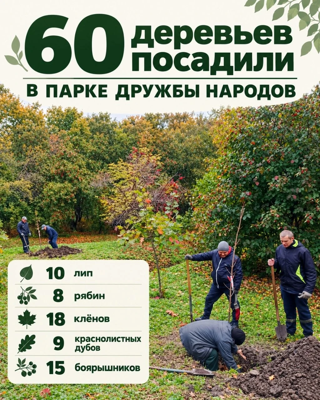 ⚡️ В парке Дружбы народов высадили 60 новых деревьев и кустарников — об этом сообщили в...