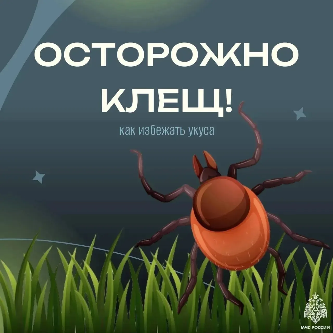 🕷Осторожно, клещи!

Мы часто отправляемся на прогулки и устраиваем пикники на природе, но это время
