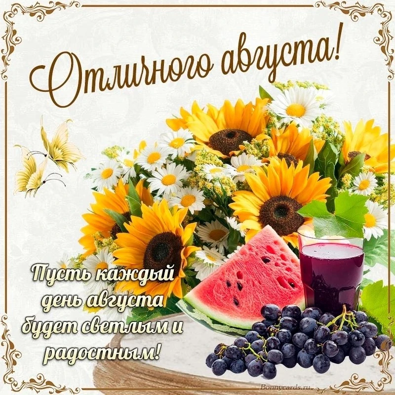 🌼Прикольные открытки