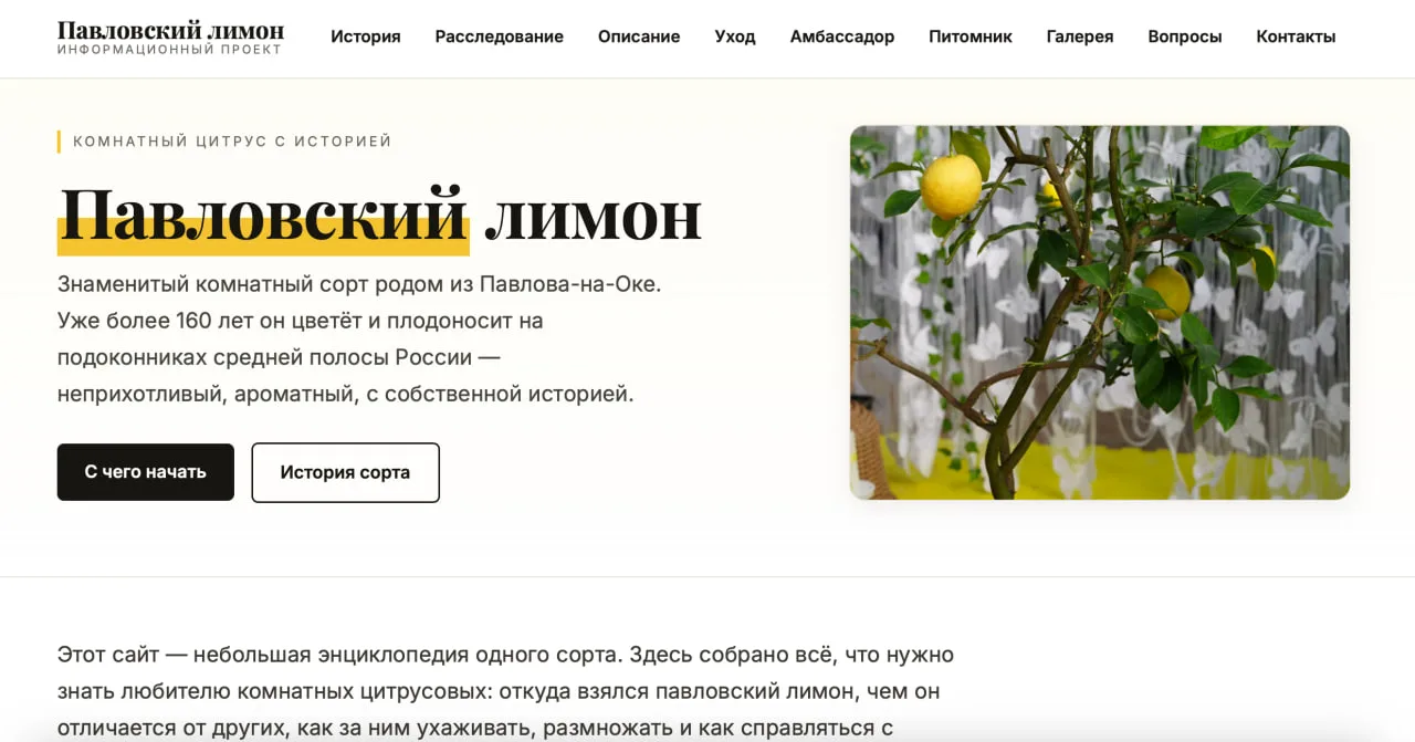 Мы создали большой информационный портал, посвящённый Павловскому лимону 🍋

На сайте собраны матери