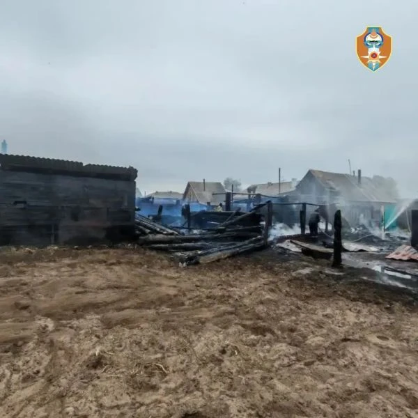 В Бурятии при пожаре погибли 10 домашних птиц  Возгорание произошло 23 мая в селе Усть-Кяхта Кяхтинс