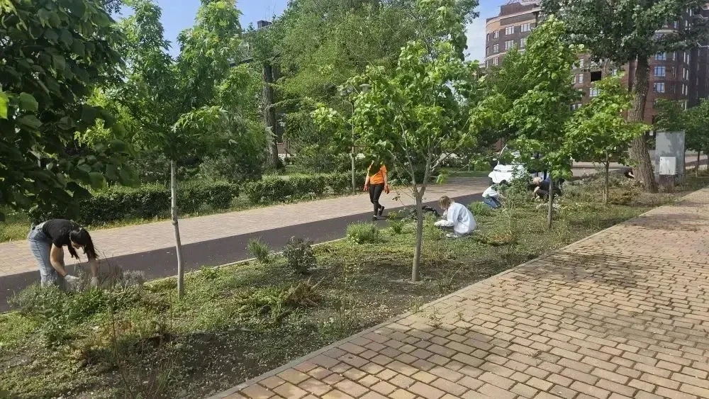 Лето — это не только время отдыха, но и отличная возможность получить первый трудовой о...