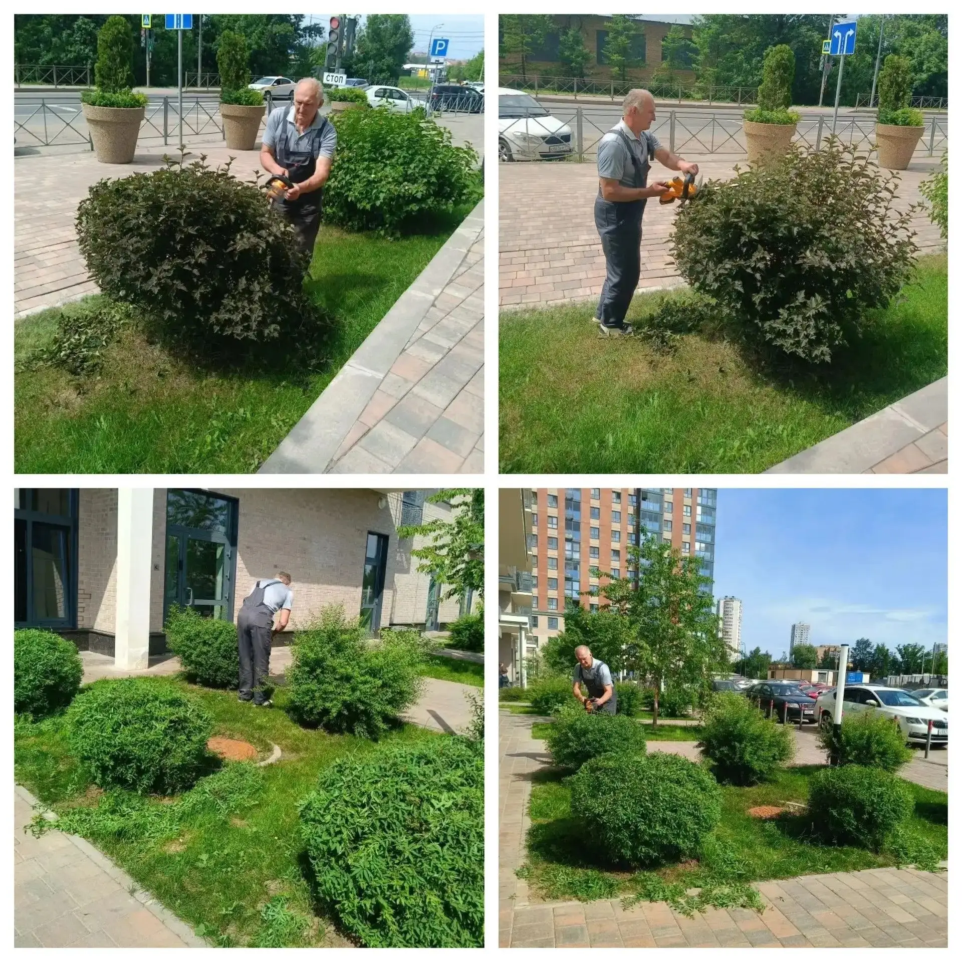 Дайджест за неделю