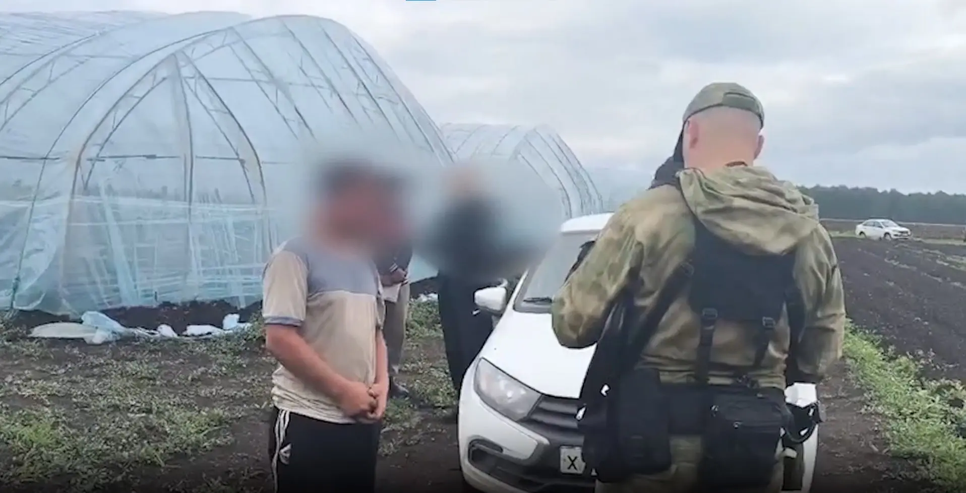 🚨 Силовики искали нелегалов в теплицах