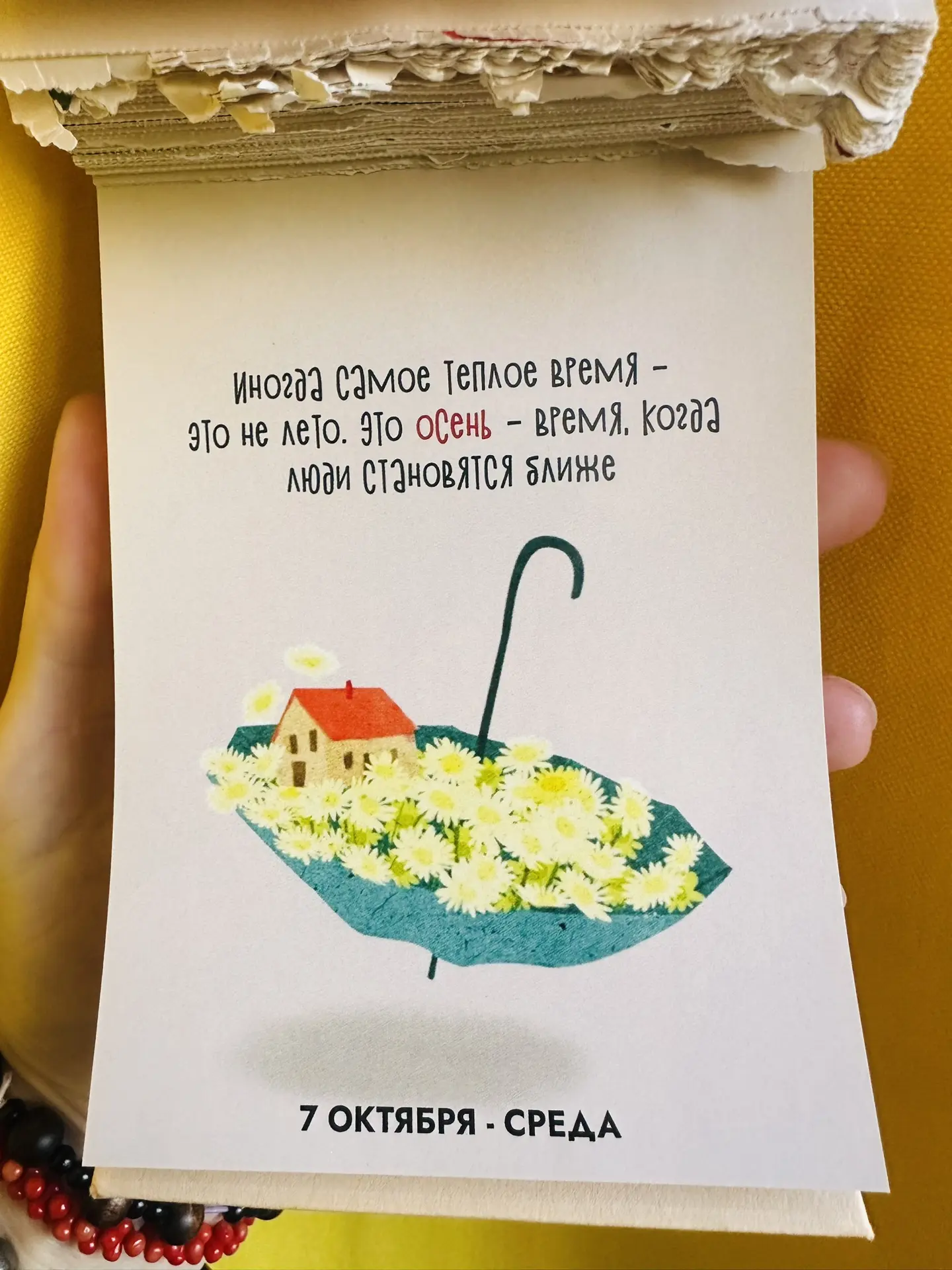 Доброе утро ☀️