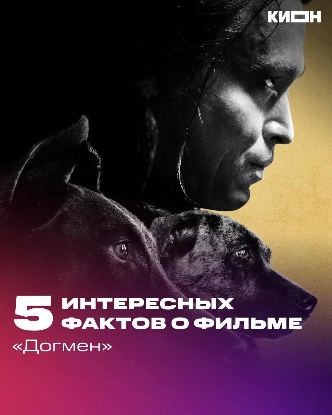 На съёмках этого фильма было больше сотни собак🤯
