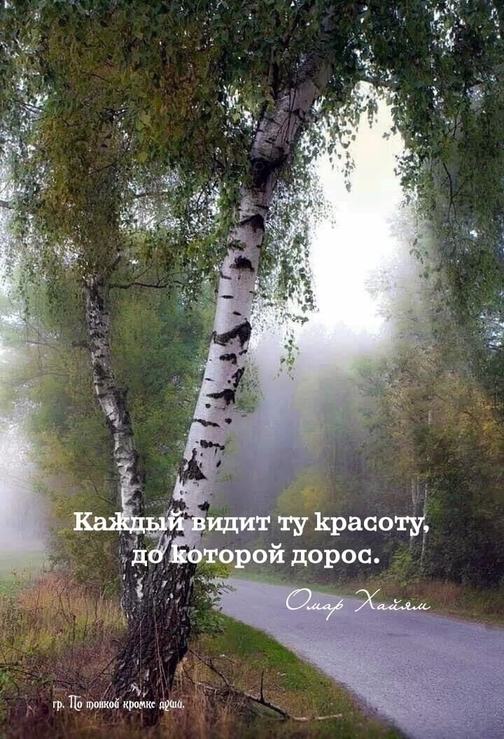 Доброе утро. Хорошего дня и отличного настроения!
